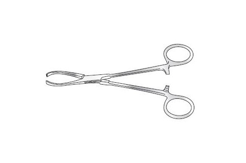RUTHERFORD TISSUE FORCEPS