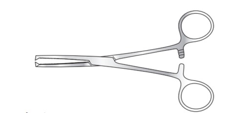 Kocher Artery Forceps - Surgical Holdings