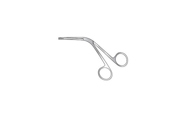 Tilley forceps 2024