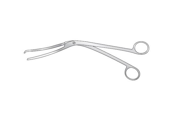 Cheatle forceps deals